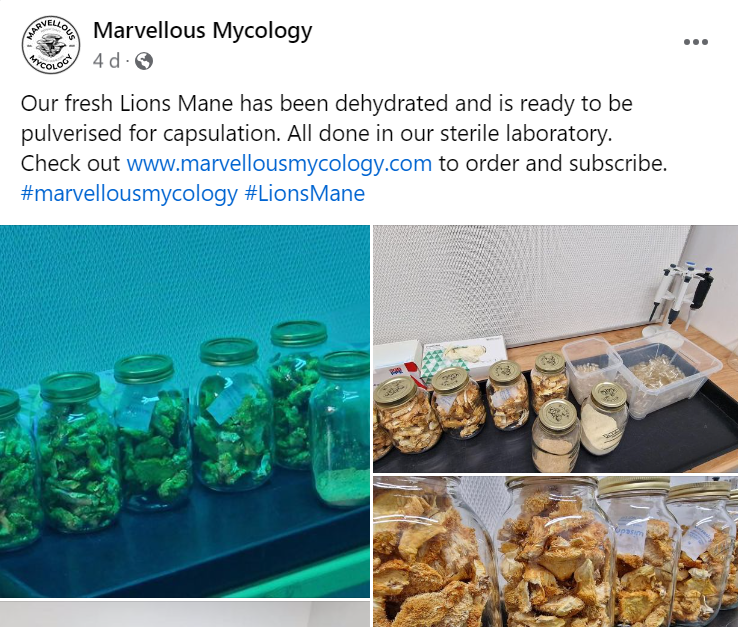 Marvellous Mycology Facebook